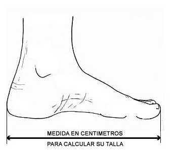 Medida pie